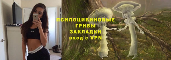 дмт Лиски