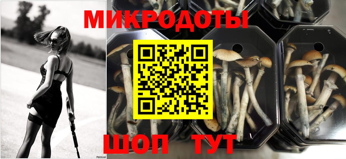 Псилоцибиновые грибы Psilocybe  Вход с VPN  Отрадное  Галлюциногенные грибы мухоморы 