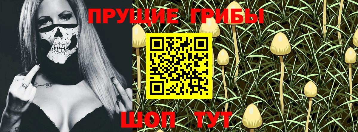 Псилоцибиновые грибы Magic Shrooms Отрадное